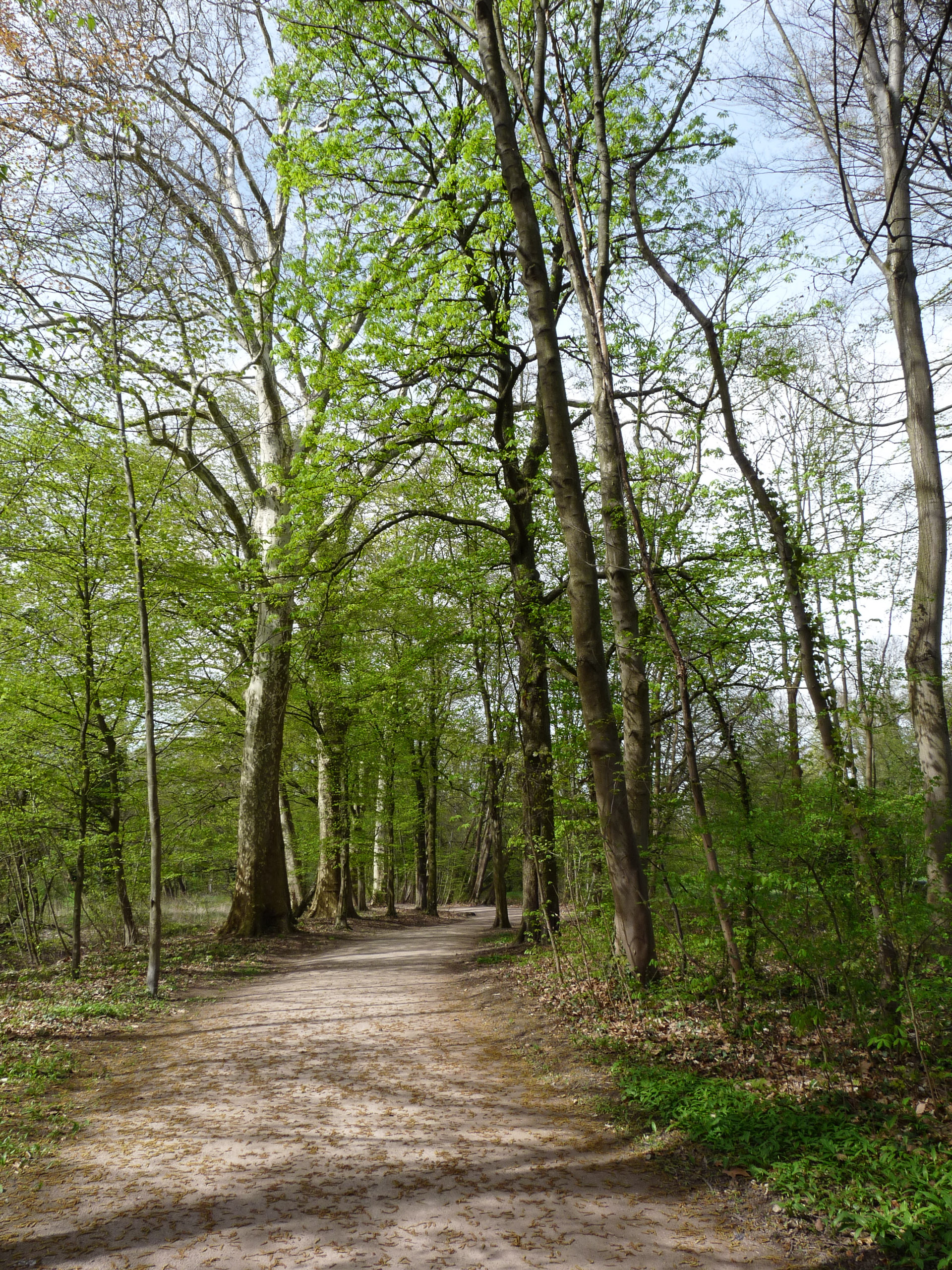 20180414144613 P1110043